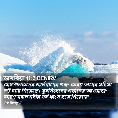 জখৰিয়া 11:3 BENIRV Bible Verse Image