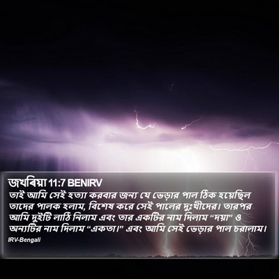জখৰিয়া 11:7 BENIRV Bible Verse Image