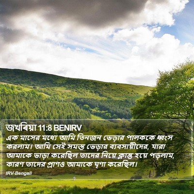 জখৰিয়া 11:8 BENIRV Bible Verse Image