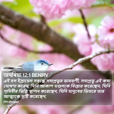 জখৰিয়া 12:1 BENIRV Bible Verse Image