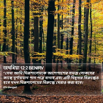 জখৰিয়া 12:2 BENIRV Bible Verse Image