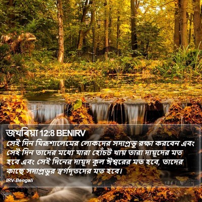 জখৰিয়া 12:8 BENIRV Bible Verse Image