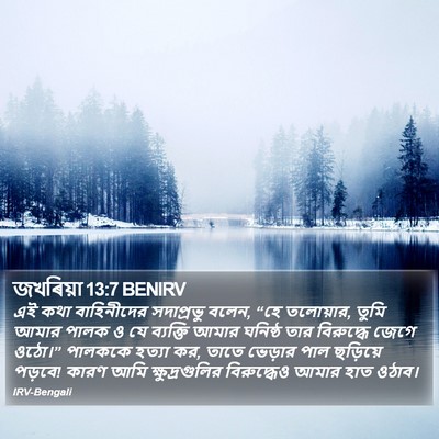 জখৰিয়া 13:7 BENIRV Bible Verse Image