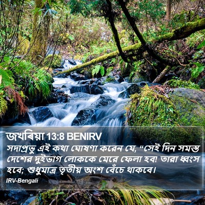 জখৰিয়া 13:8 BENIRV Bible Verse Image