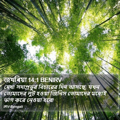 জখৰিয়া 14:1 BENIRV Bible Verse Image