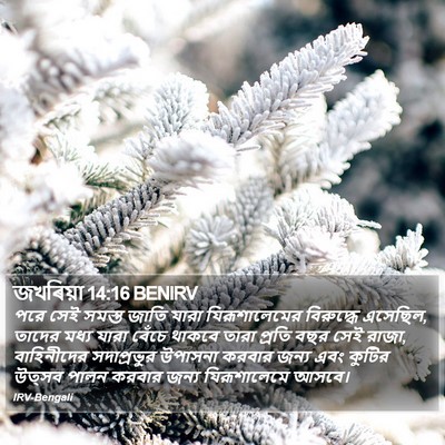 জখৰিয়া 14:16 BENIRV Bible Verse Image