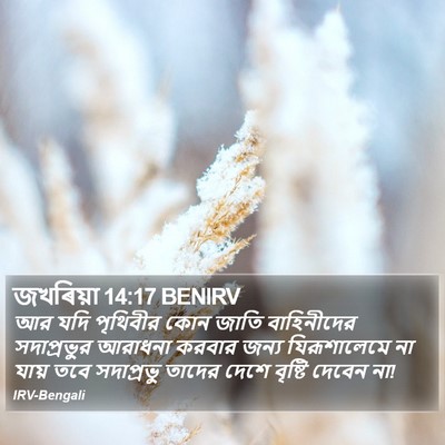 জখৰিয়া 14:17 BENIRV Bible Verse Image