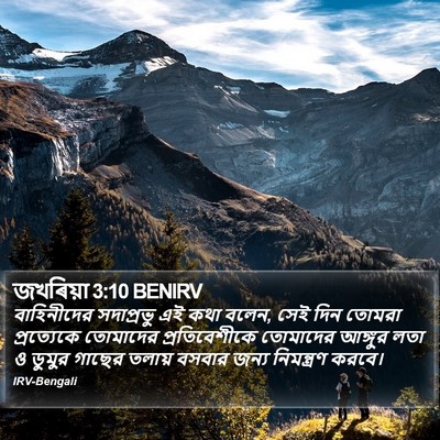 জখৰিয়া 3:10 BENIRV Bible Verse Image