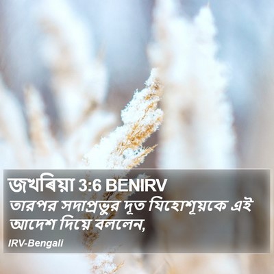 জখৰিয়া 3:6 BENIRV Bible Verse Image