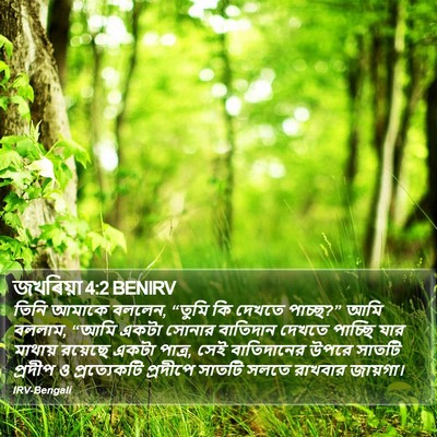 জখৰিয়া 4:2 BENIRV Bible Verse Image