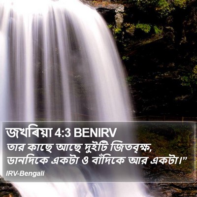 জখৰিয়া 4:3 BENIRV Bible Verse Image