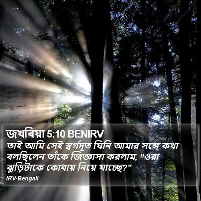 জখৰিয়া 5:10 BENIRV Bible Verse Image