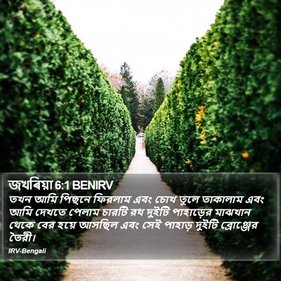 জখৰিয়া 6:1 BENIRV Bible Verse Image