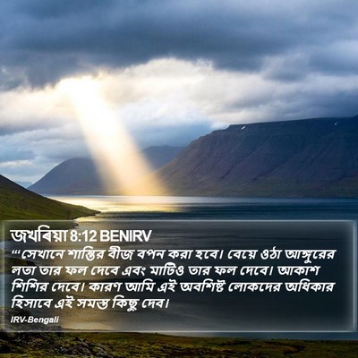 জখৰিয়া 8:12 BENIRV Bible Verse Image