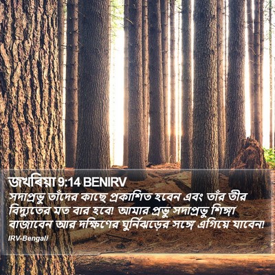 জখৰিয়া 9:14 BENIRV Bible Verse Image