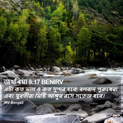 জখৰিয়া 9:17 BENIRV Bible Verse Image