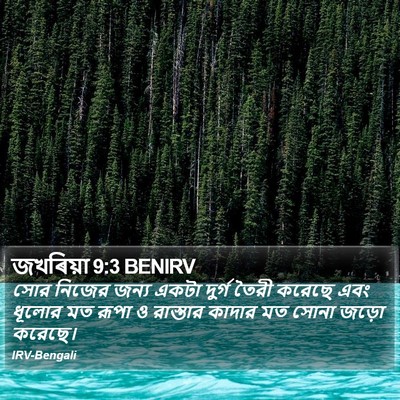 জখৰিয়া 9:3 BENIRV Bible Verse Image