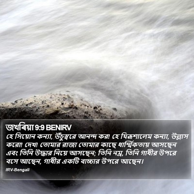 জখৰিয়া 9:9 BENIRV Bible Verse Image