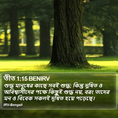 তীত 1:15 BENIRV Bible Verse Image