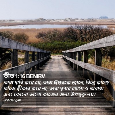 তীত 1:16 BENIRV Bible Verse Image