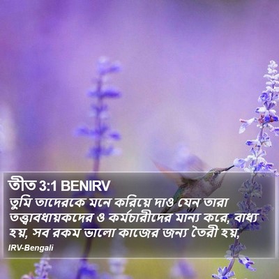তীত 3:1 BENIRV Bible Verse Image