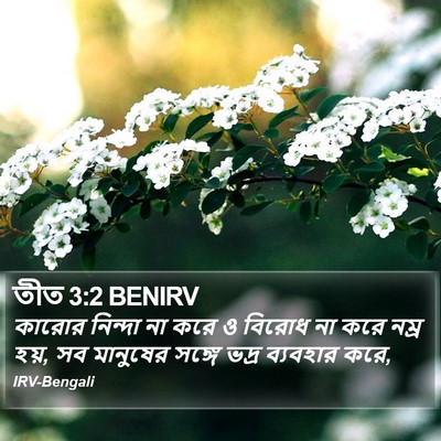 তীত 3:2 BENIRV Bible Verse Image
