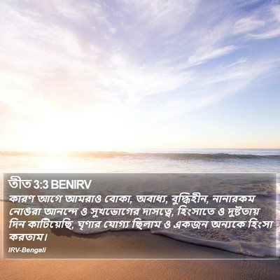 তীত 3:3 BENIRV Bible Verse Image