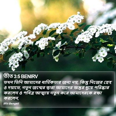 তীত 3:5 BENIRV Bible Verse Image