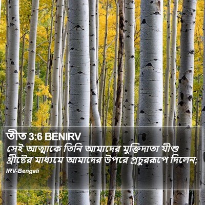 তীত 3:6 BENIRV Bible Verse Image