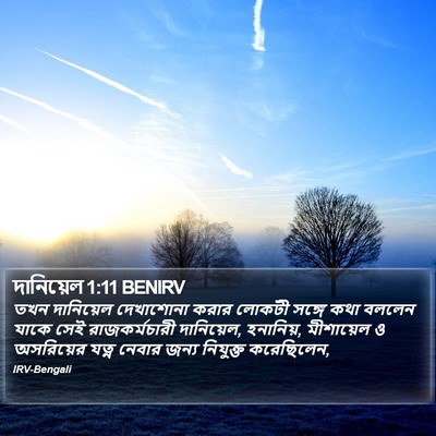 দানিয়েল 1:11 BENIRV Bible Verse Image