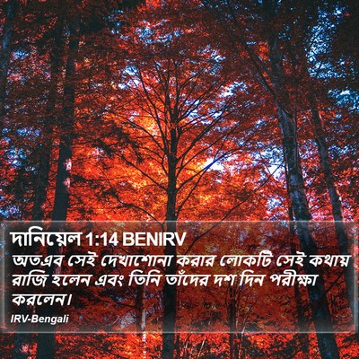 দানিয়েল 1:14 BENIRV Bible Verse Image