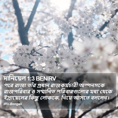 দানিয়েল 1:3 BENIRV Bible Verse Image