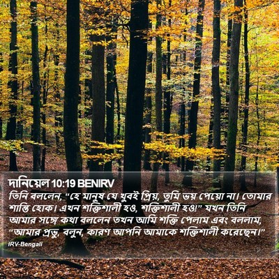 দানিয়েল 10:19 BENIRV Bible Verse Image