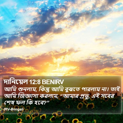 দানিয়েল 12:8 BENIRV Bible Verse Image