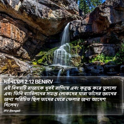 দানিয়েল 2:12 BENIRV Bible Verse Image