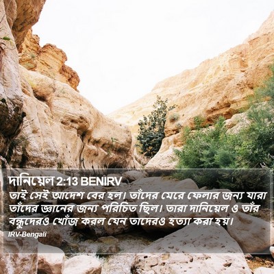 দানিয়েল 2:13 BENIRV Bible Verse Image
