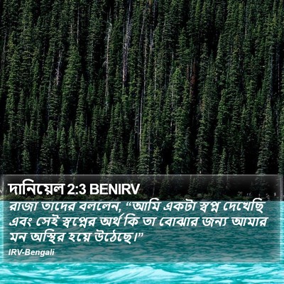 দানিয়েল 2:3 BENIRV Bible Verse Image