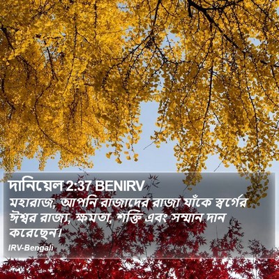 দানিয়েল 2:37 BENIRV Bible Verse Image