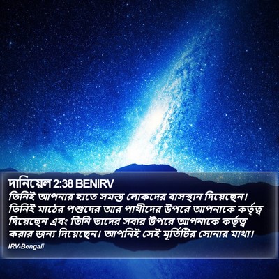 দানিয়েল 2:38 BENIRV Bible Verse Image