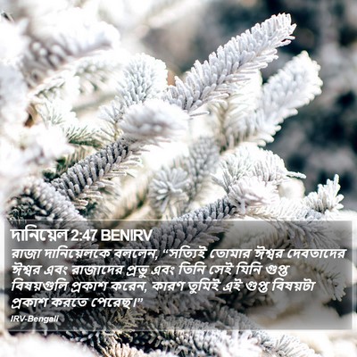 দানিয়েল 2:47 BENIRV Bible Verse Image