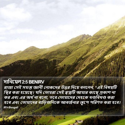 দানিয়েল 2:5 BENIRV Bible Verse Image