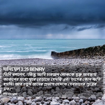দানিয়েল 3:25 BENIRV Bible Verse Image