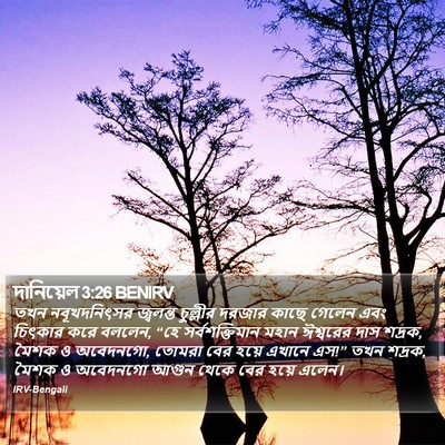 দানিয়েল 3:26 BENIRV Bible Verse Image