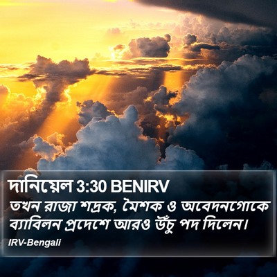 দানিয়েল 3:30 BENIRV Bible Verse Image