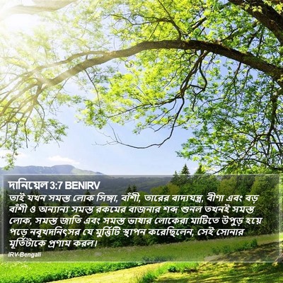 দানিয়েল 3:7 BENIRV Bible Verse Image