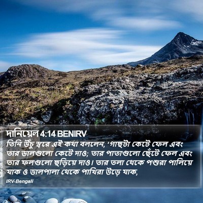 দানিয়েল 4:14 BENIRV Bible Verse Image