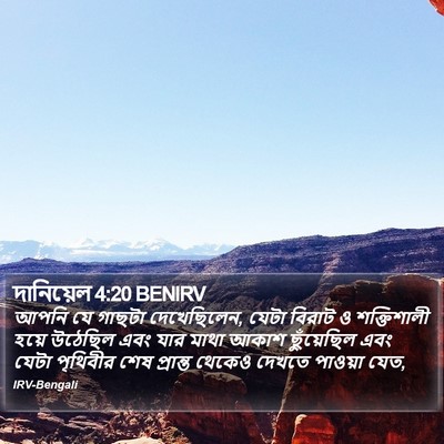 দানিয়েল 4:20 BENIRV Bible Verse Image