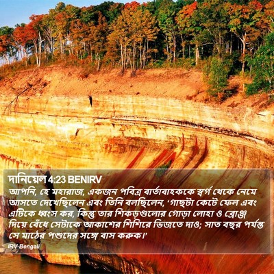দানিয়েল 4:23 BENIRV Bible Verse Image