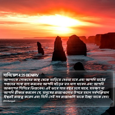 দানিয়েল 4:25 BENIRV Bible Verse Image