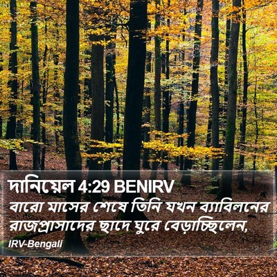 দানিয়েল 4:29 BENIRV Bible Verse Image